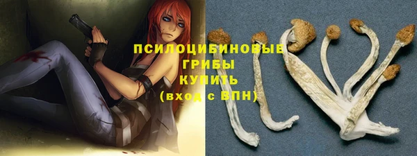 прущие грибы Баксан