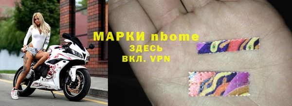 прущие грибы Баксан