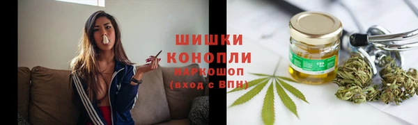 прущие грибы Баксан