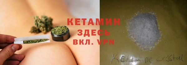 прущие грибы Баксан