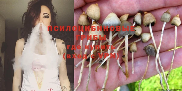 мет Балахна