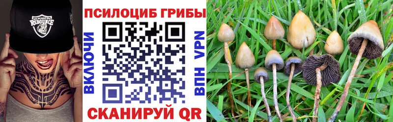 Купить где Глазов Галлюциногенные грибы прущие грибы